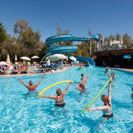 Random By Lookbookholiday