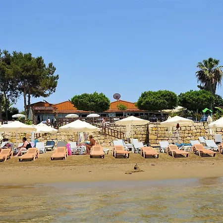 Random By Lookbookholiday 4* Side