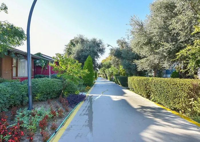 Random By Lookbookholiday Hotel 4*