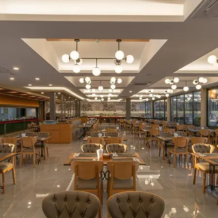 Random By Lookbookholiday 시데